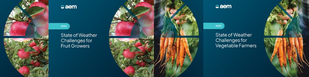 Weather & Soil Monitoring Insights for Fruit & Vegetable Growers