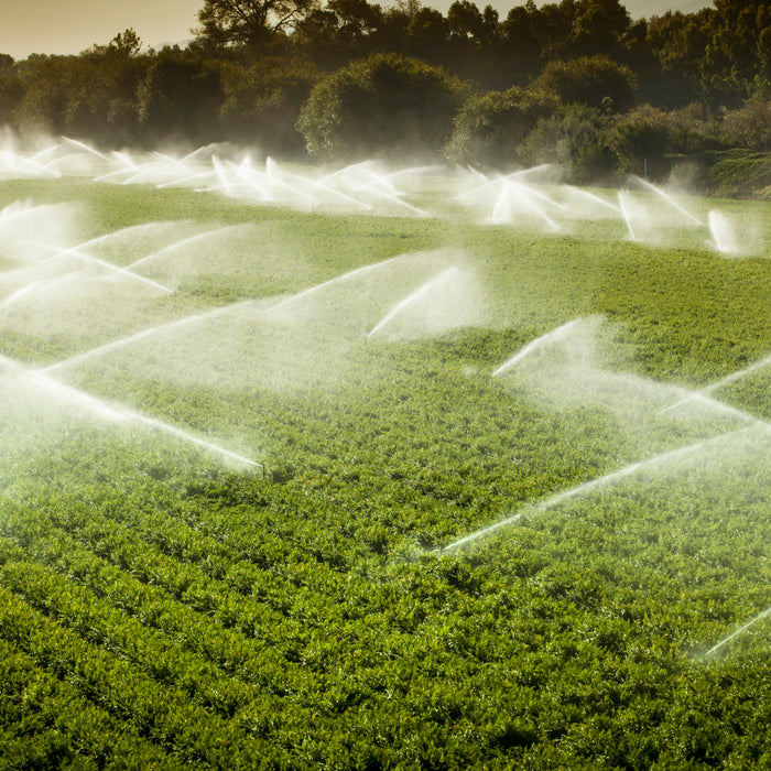 Irrigation with EnviroMonitor & mobilize helps farmers get more out of their water and efforts