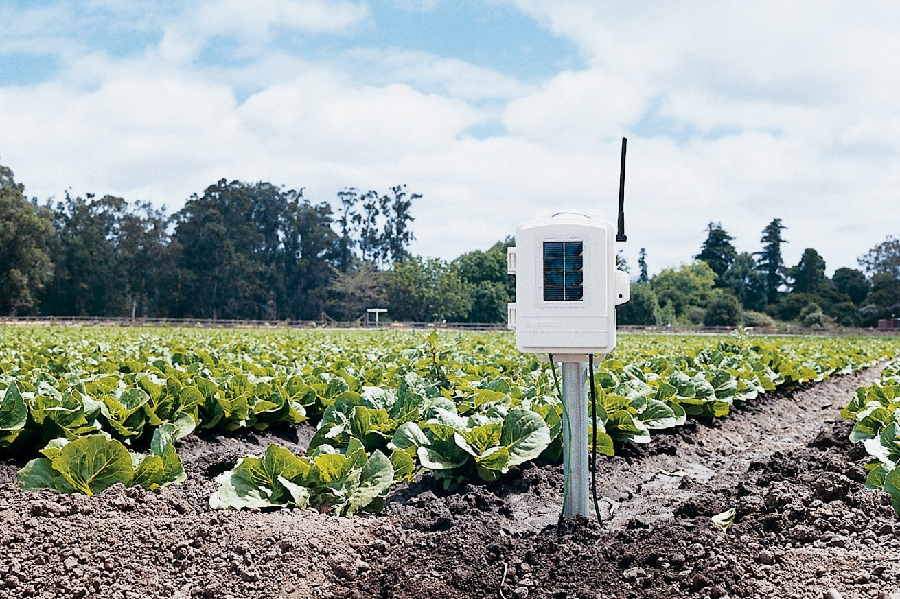leaf and soil moisture temperature station