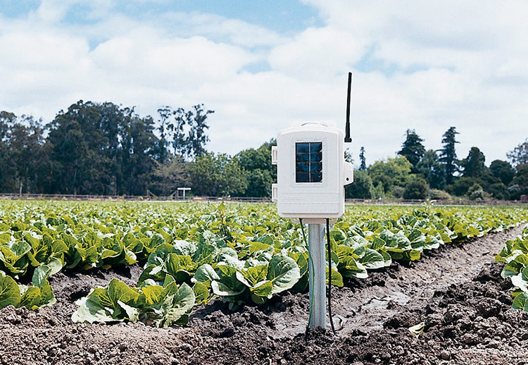 leaf and soil moisture temperature station